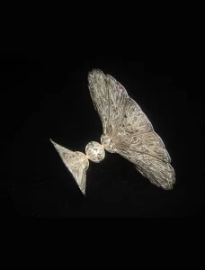 استاد رفیعی