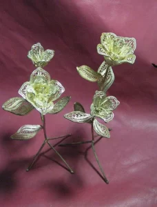 استاد رفیعی